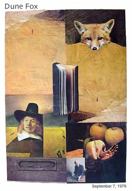 dune fox