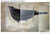transpcylwbird